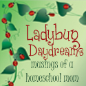 Ladybug Daydreams