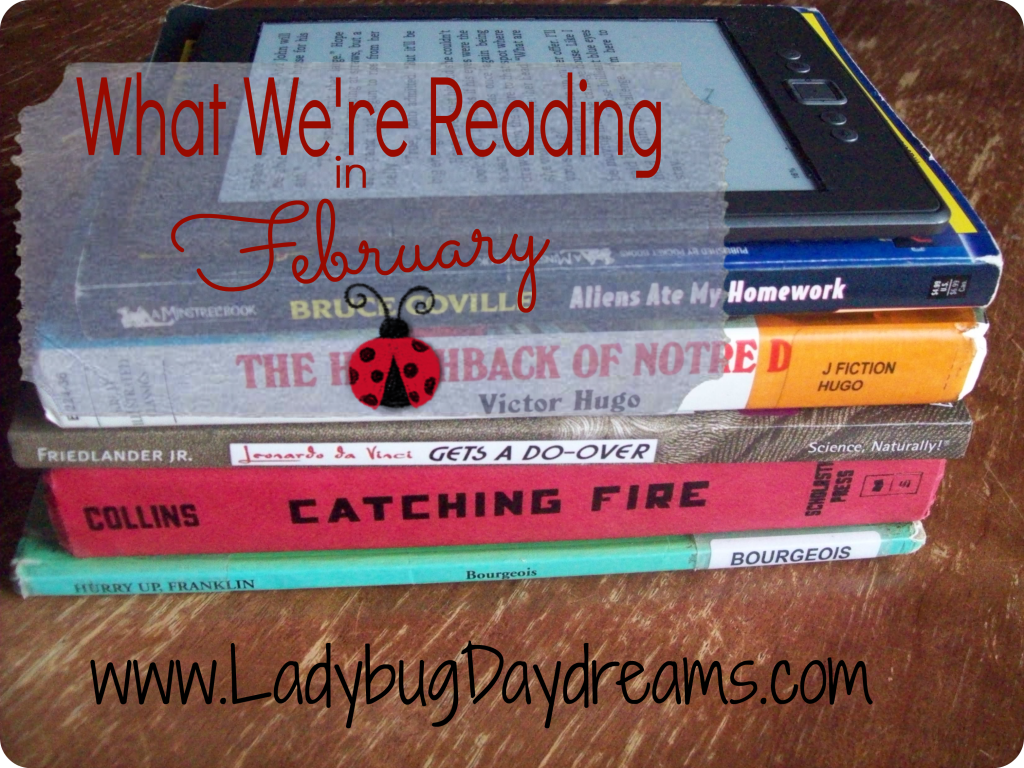 What We're Reading in February | Ladybug Daydreams