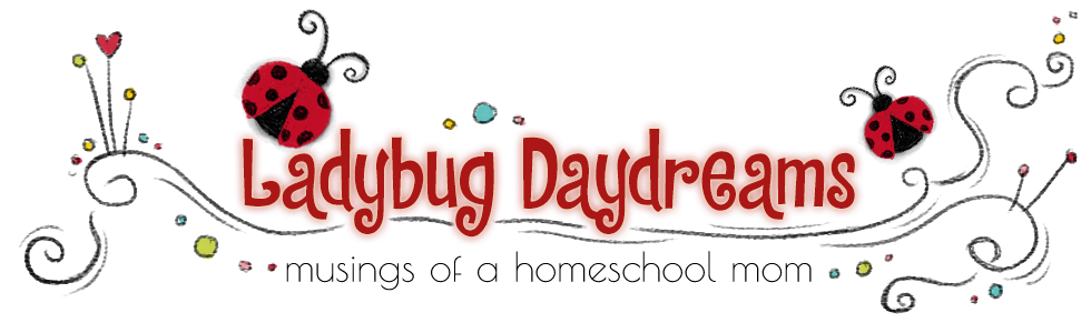 Ladybug Daydreams