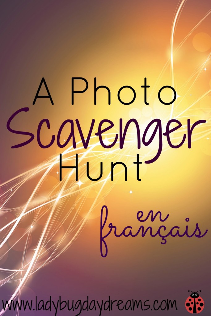 A Photo Scavenger Hunt in French | Ladybug Daydreams