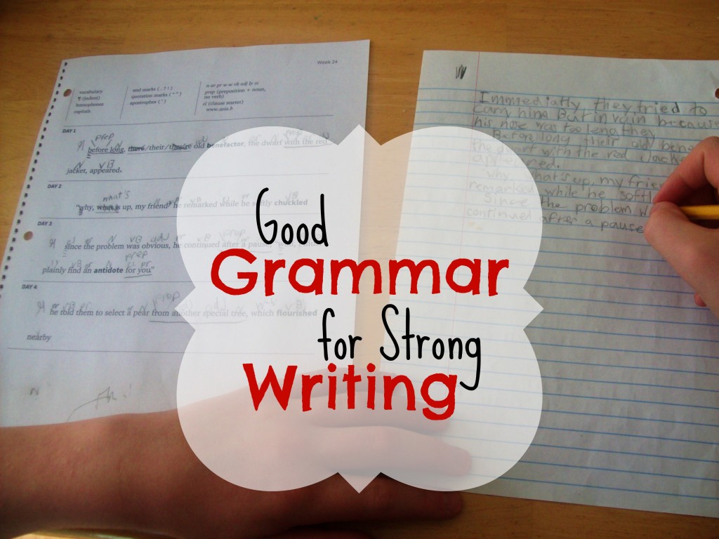 Good grammar gets the girl essay