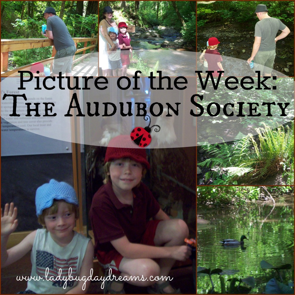 audubon trip collage