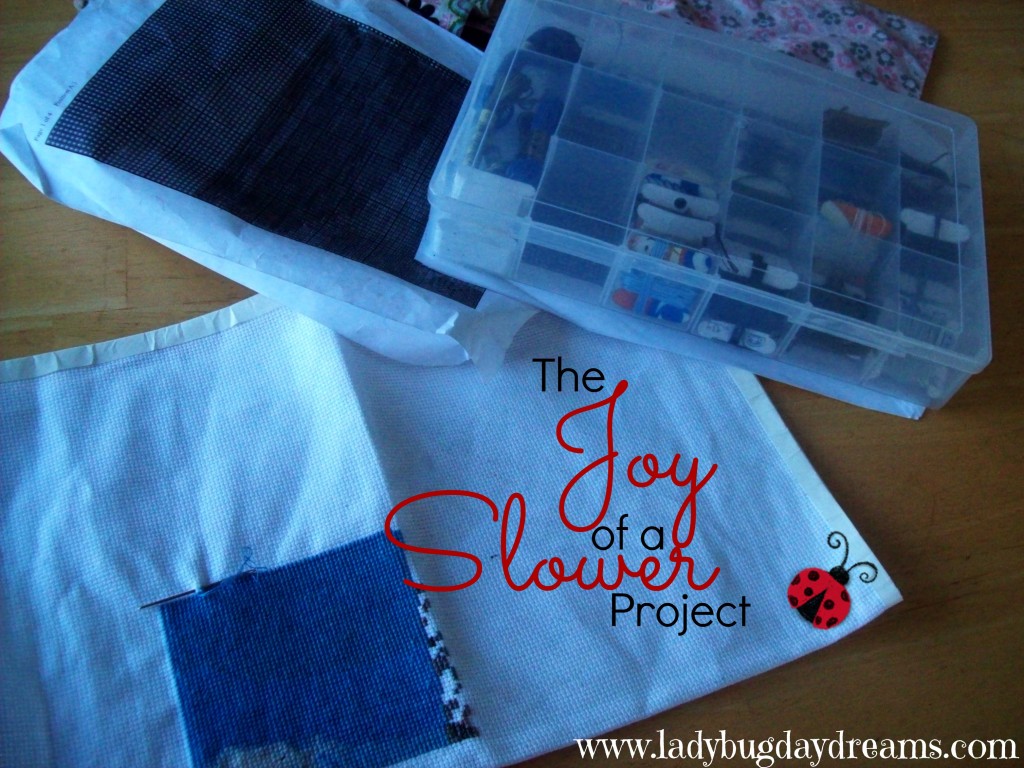 The Joy of a Slower Project | Ladybug Daydreams