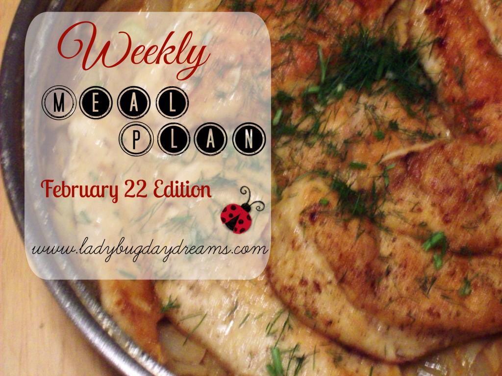 meal plan feb 22