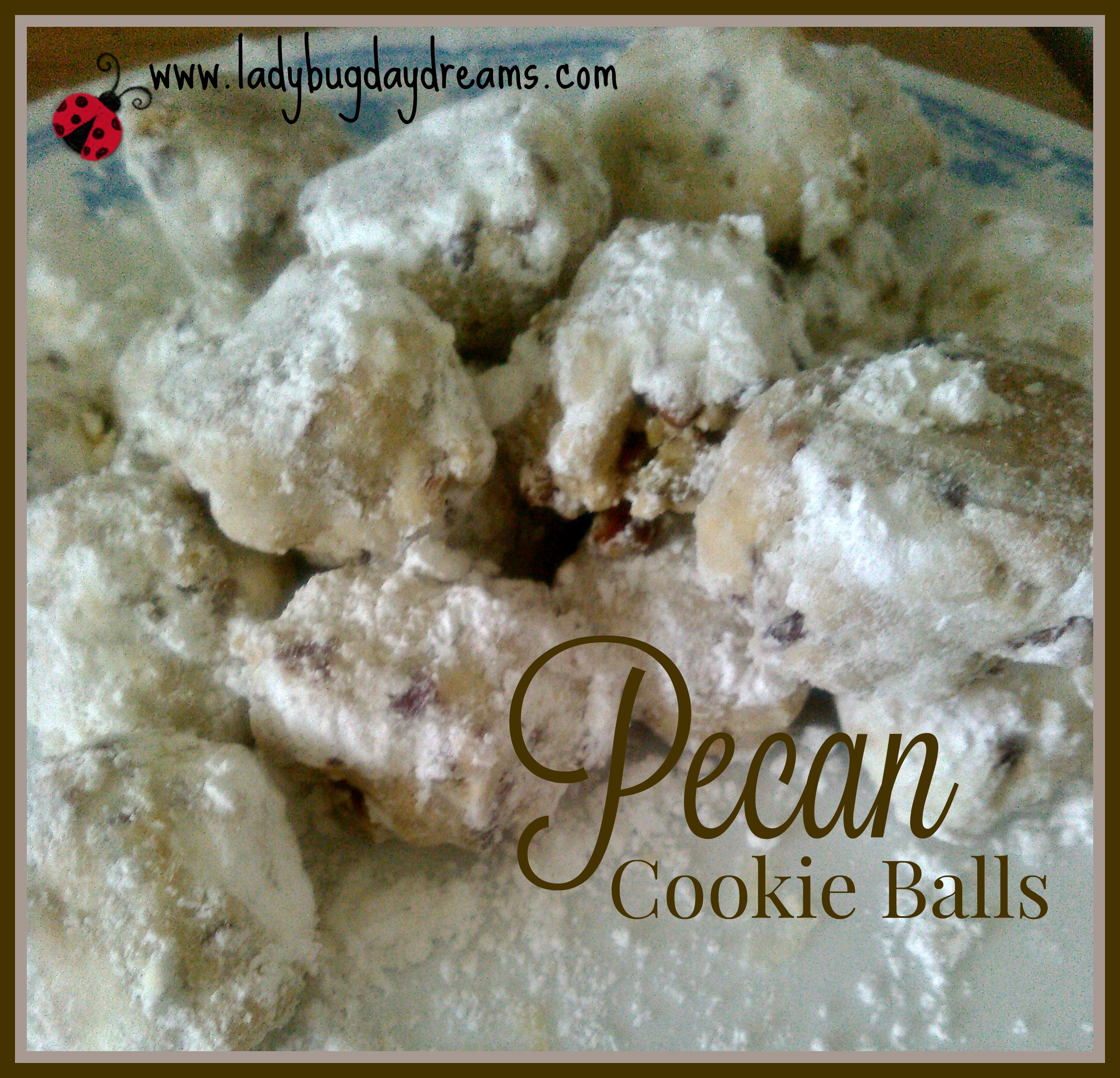 Pecan Cookie Balls recipe