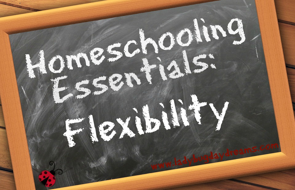 Homeschooling Essentials Flexibility