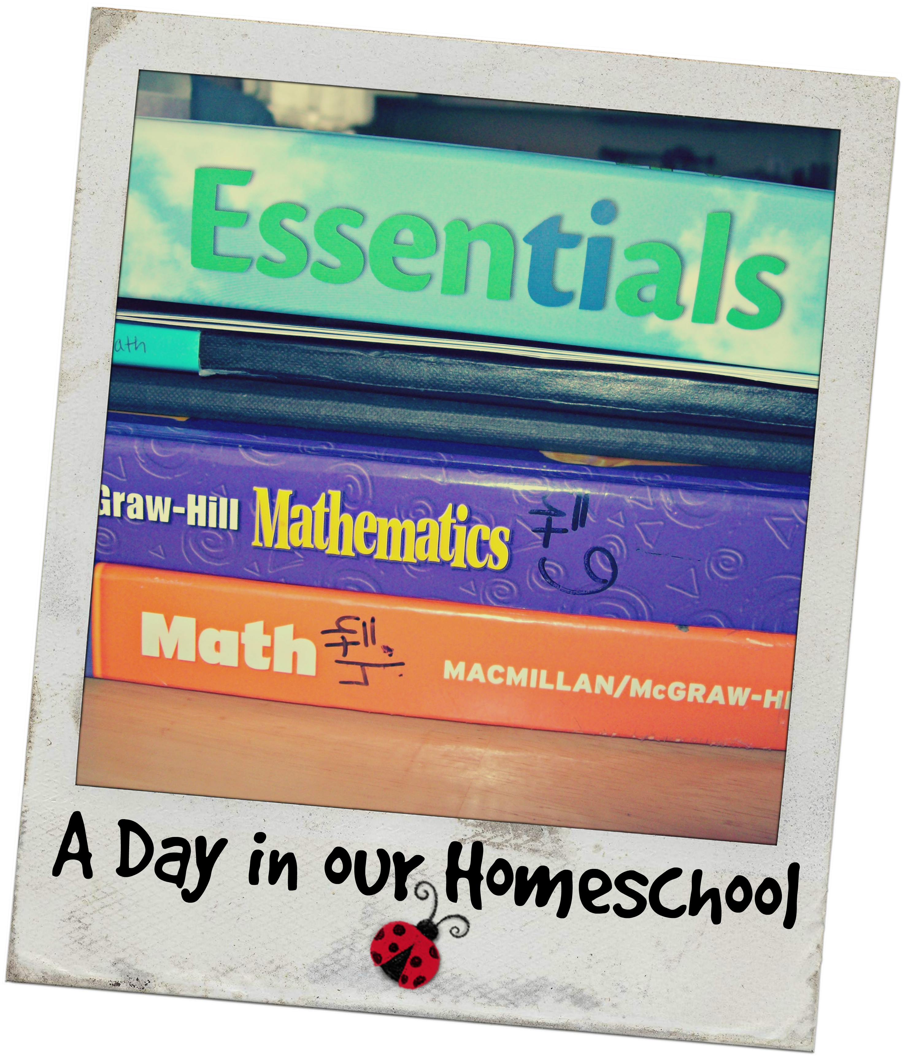 A Day in our Homeschool