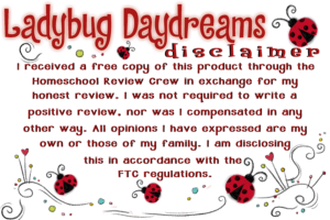 ladybug-disclaimer-review-crew-copy