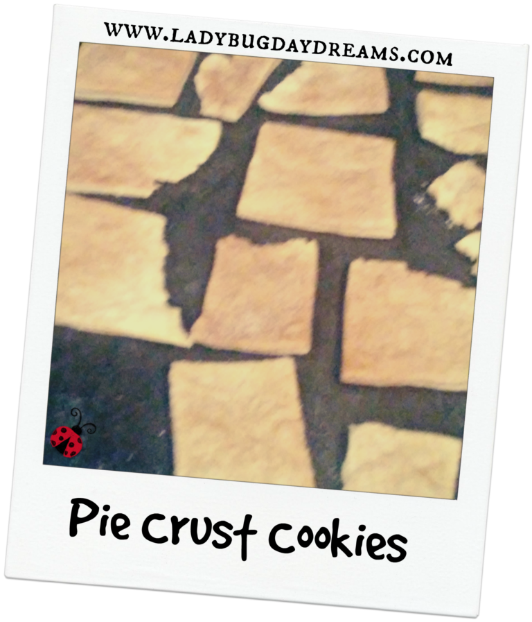 Pie Crust Cookies Ladybug Daydreams