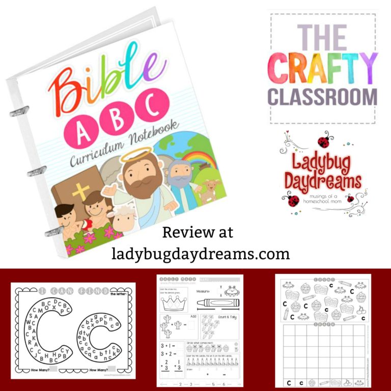 The Crafty Classroom Review