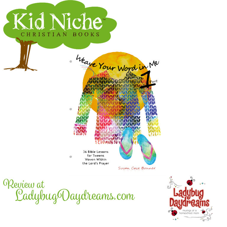 kid niche review