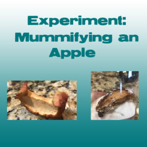 apple mummy