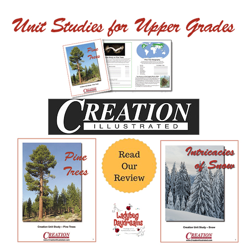 creation illustrated review