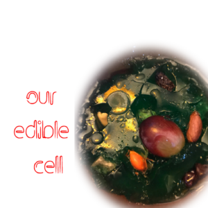 edible cell