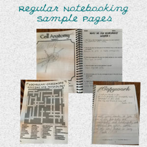 notebook sample