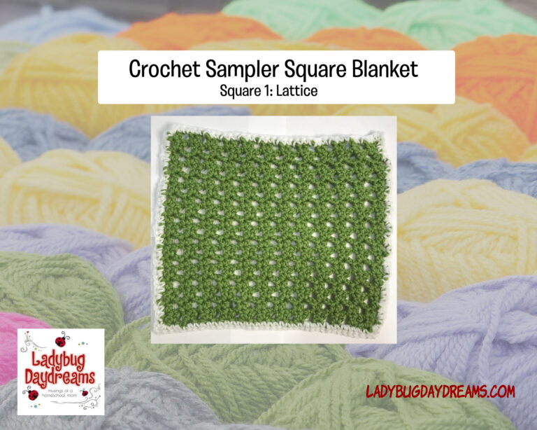 sampler blanket square 1