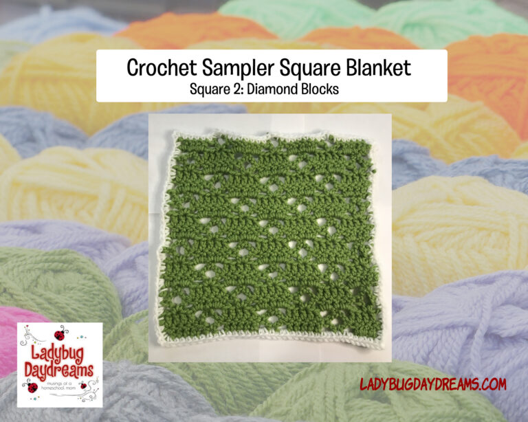 sampler blanket square 2